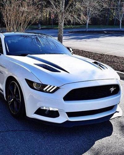 Mustang