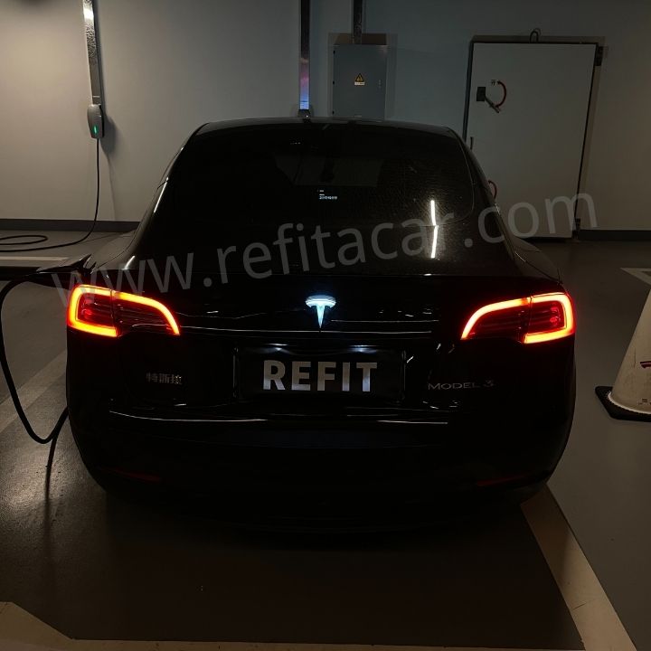 TESLA LED Trunk Badge with Dynamic