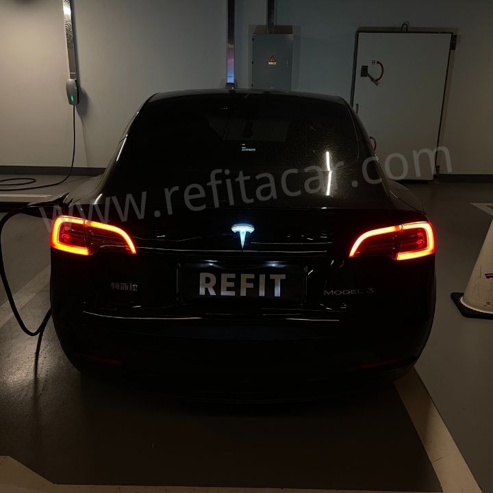 Tesla Model 3/S/X/Y: Einstiegsbeleuchtung mit Tesla-Logo